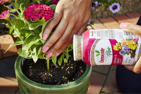 Plant Food