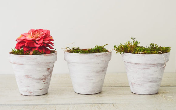 Pots