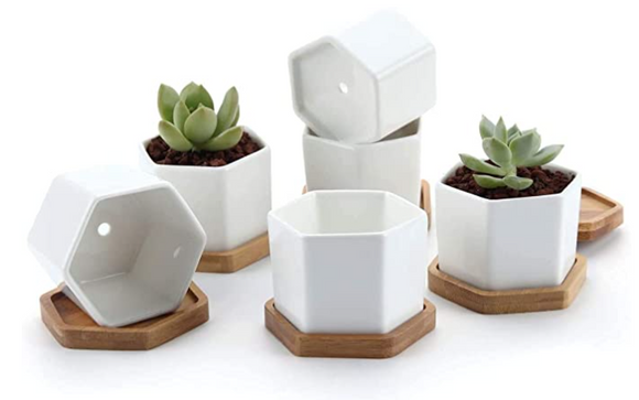 Succulent Plant Pots, 2.48 inch Mini Succulent Planter, Set of 6 White Pots