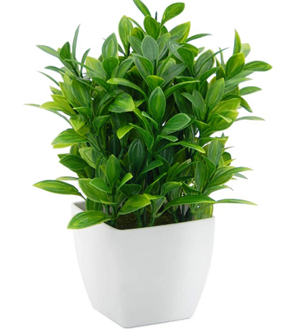 Artificial Eucalyptus Plants