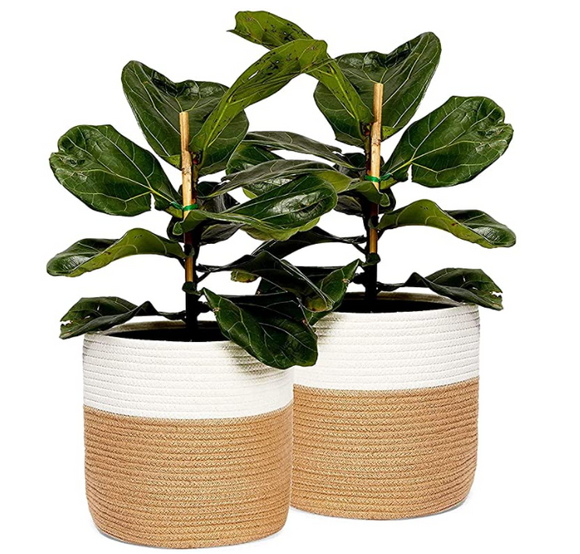 2PCS Cotton Rope Plant Basket