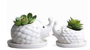 Succulent Planters Cute Animals Pots Hedgehog Desktop Decor Window Box Planter Small Flower Pots for Cactus Air Plants