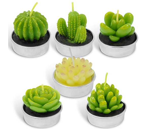 LA BELLEFÉE Tealight Candles, Cactus Terrarium Candle Delicate Succulent Handmade Plants