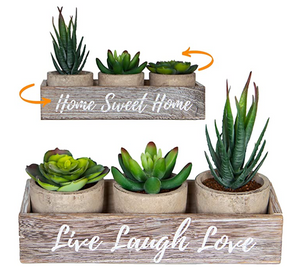 Set of 3 Artificial Succulent Plants with Pots