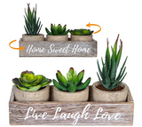 Set of 3 Artificial Succulent Plants with Pots