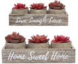 Set of 3 Artificial Succulent Plants with Pots